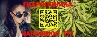 стафф Тверь