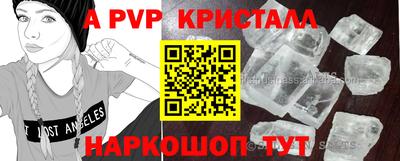 стафф Тверь