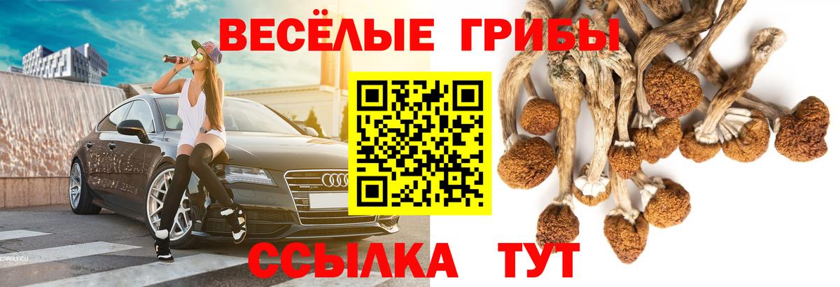 Псилоцибиновые грибы прущие грибы Белорецк